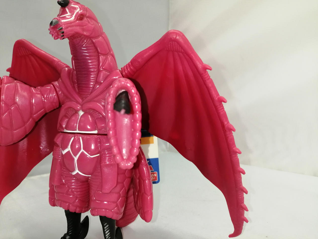 両羽根表面が変色しています。