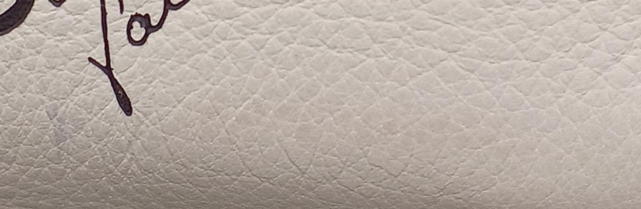 正面右下汚れあり。