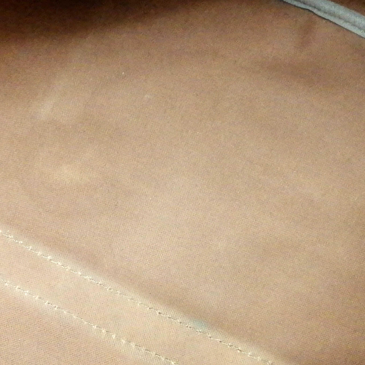 内側大きいシミあり
