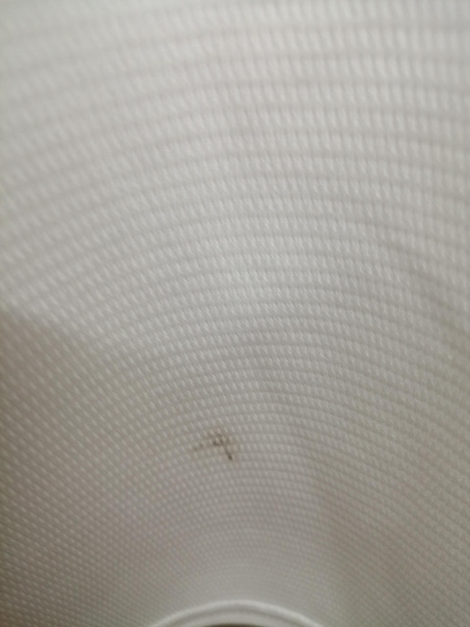 お汚れあります