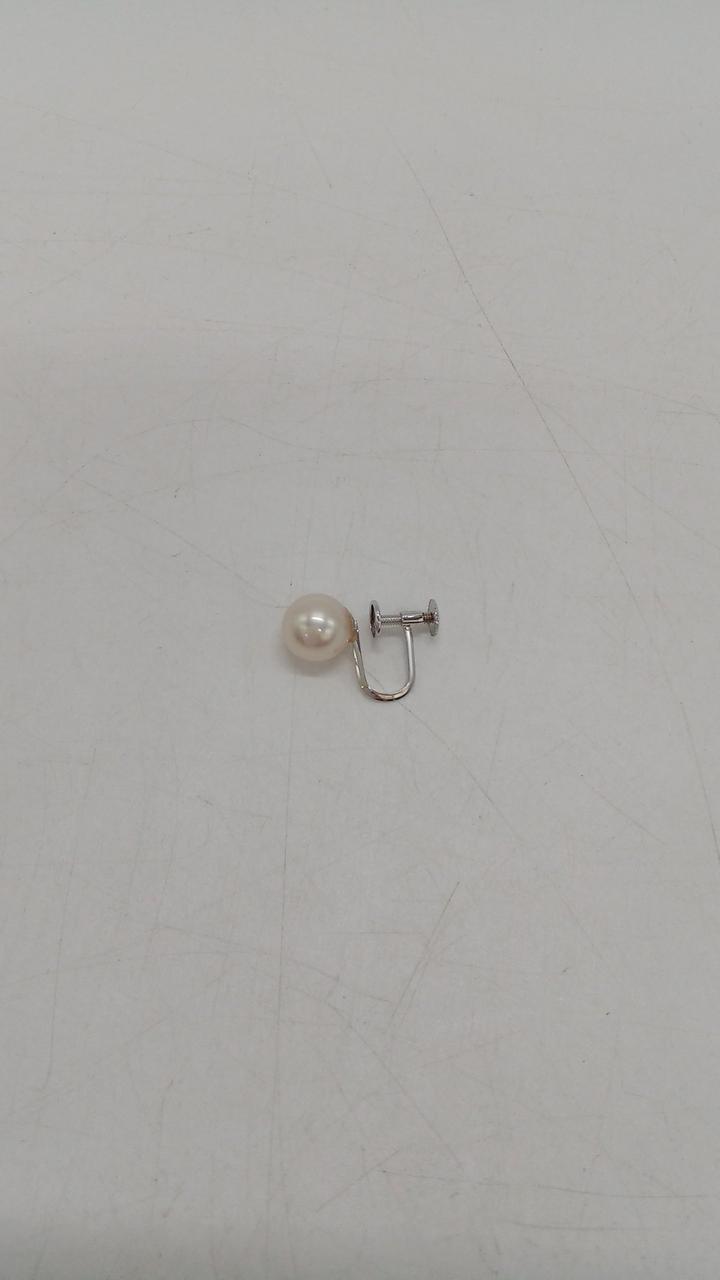 ここから別個体になります