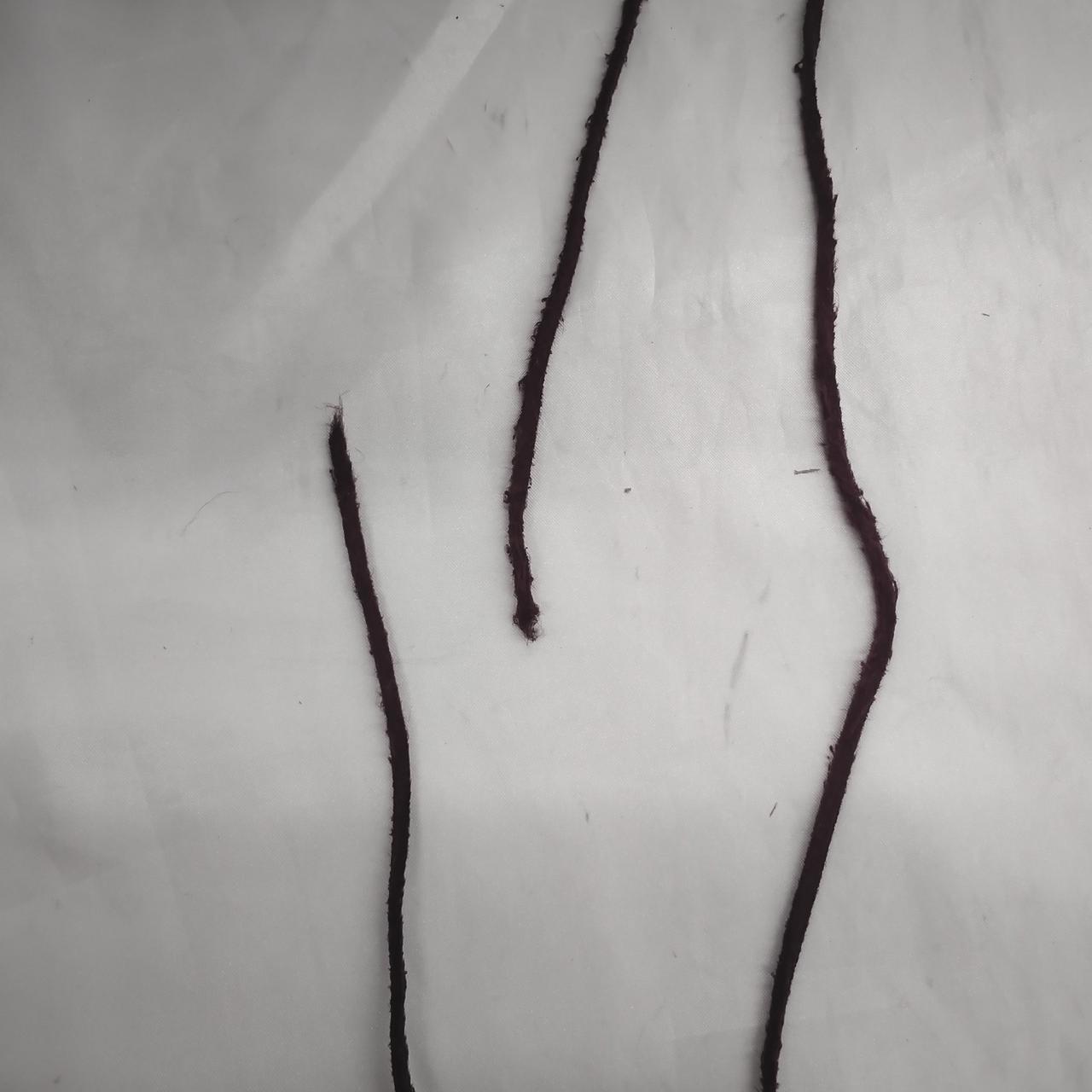 紐にちぎれあり