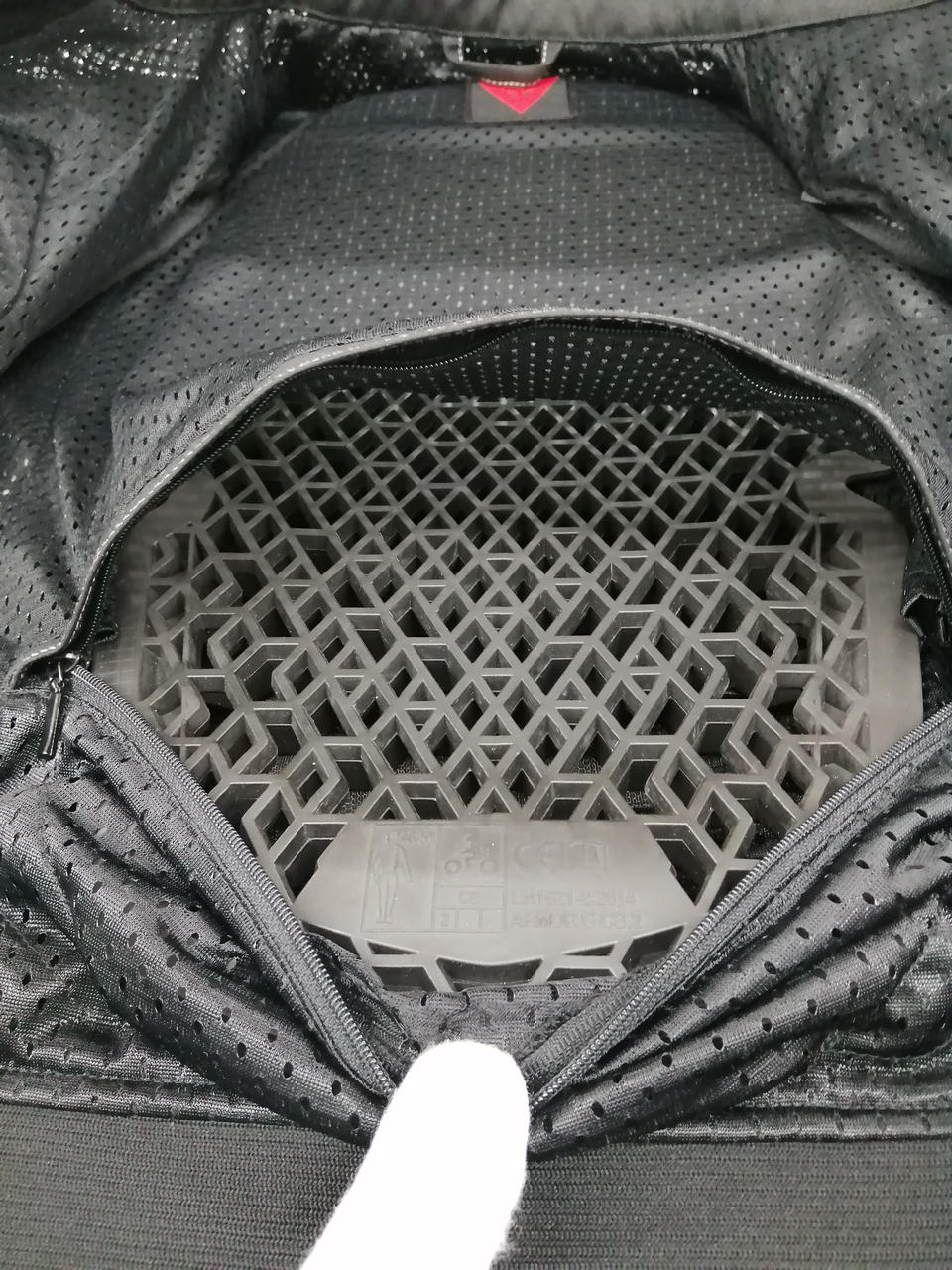 背中部分プロテクター