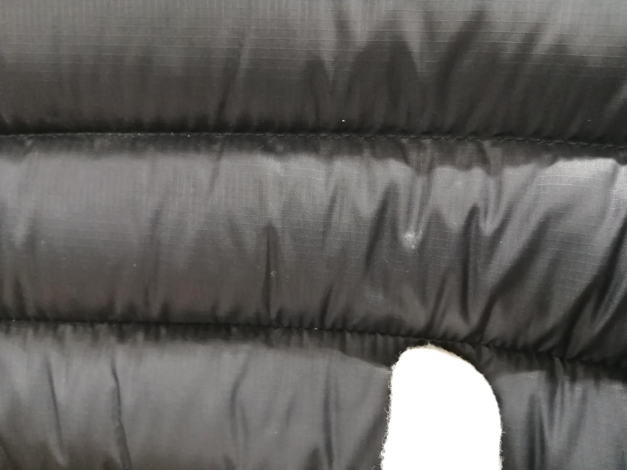 後ろ肩右しみあり