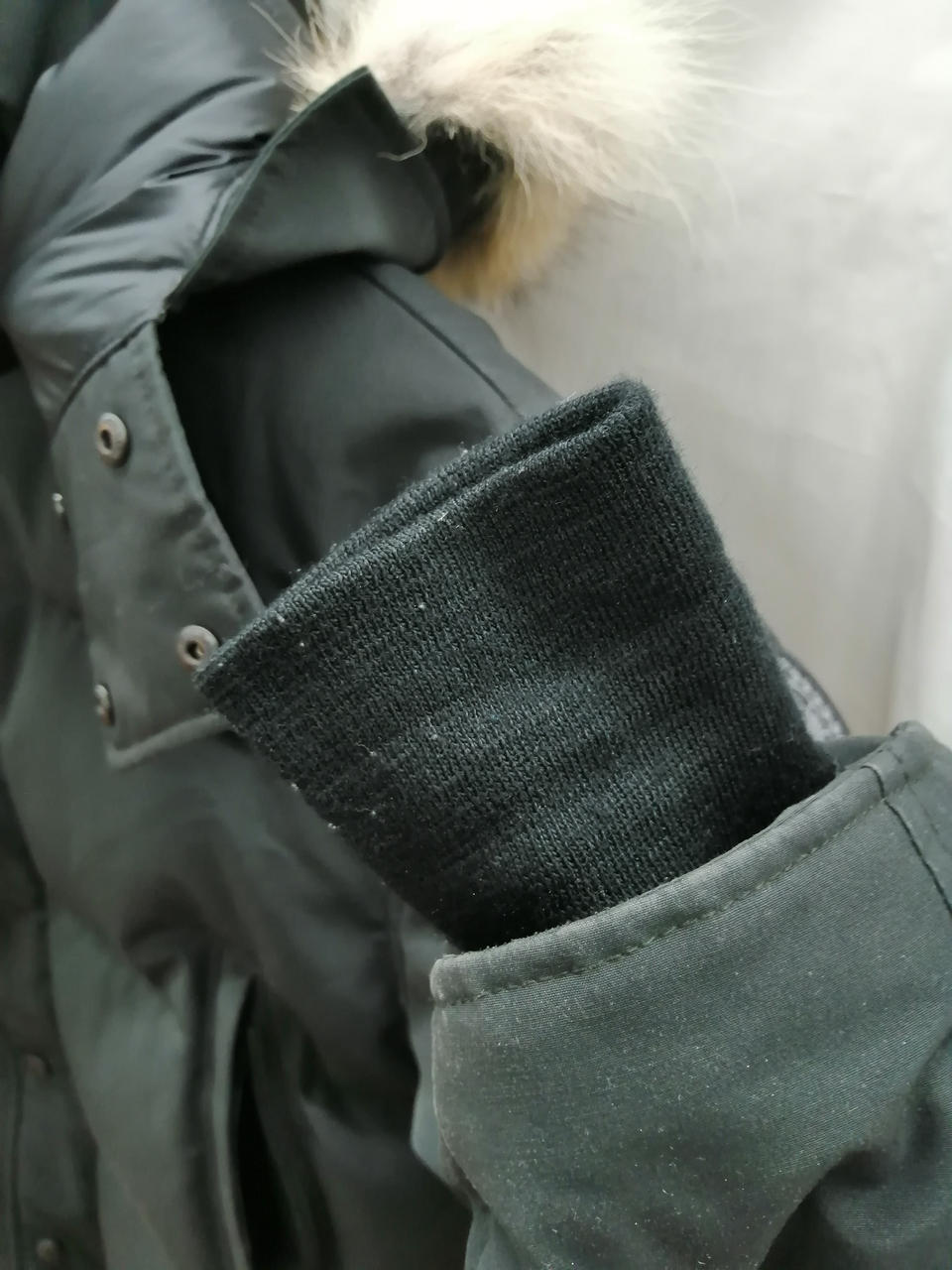 袖口　汚れ・毛玉あり