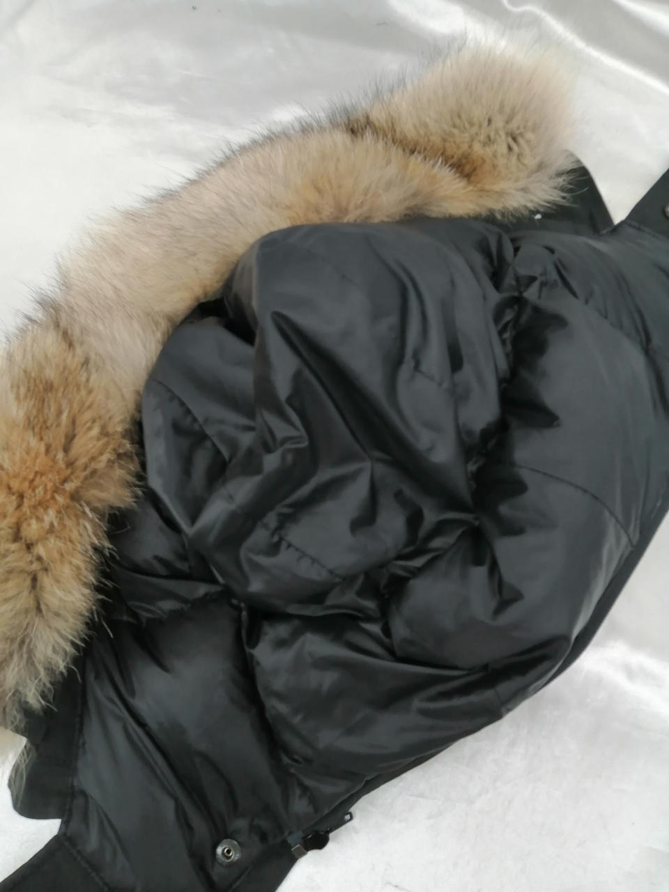 フード取り外し可能