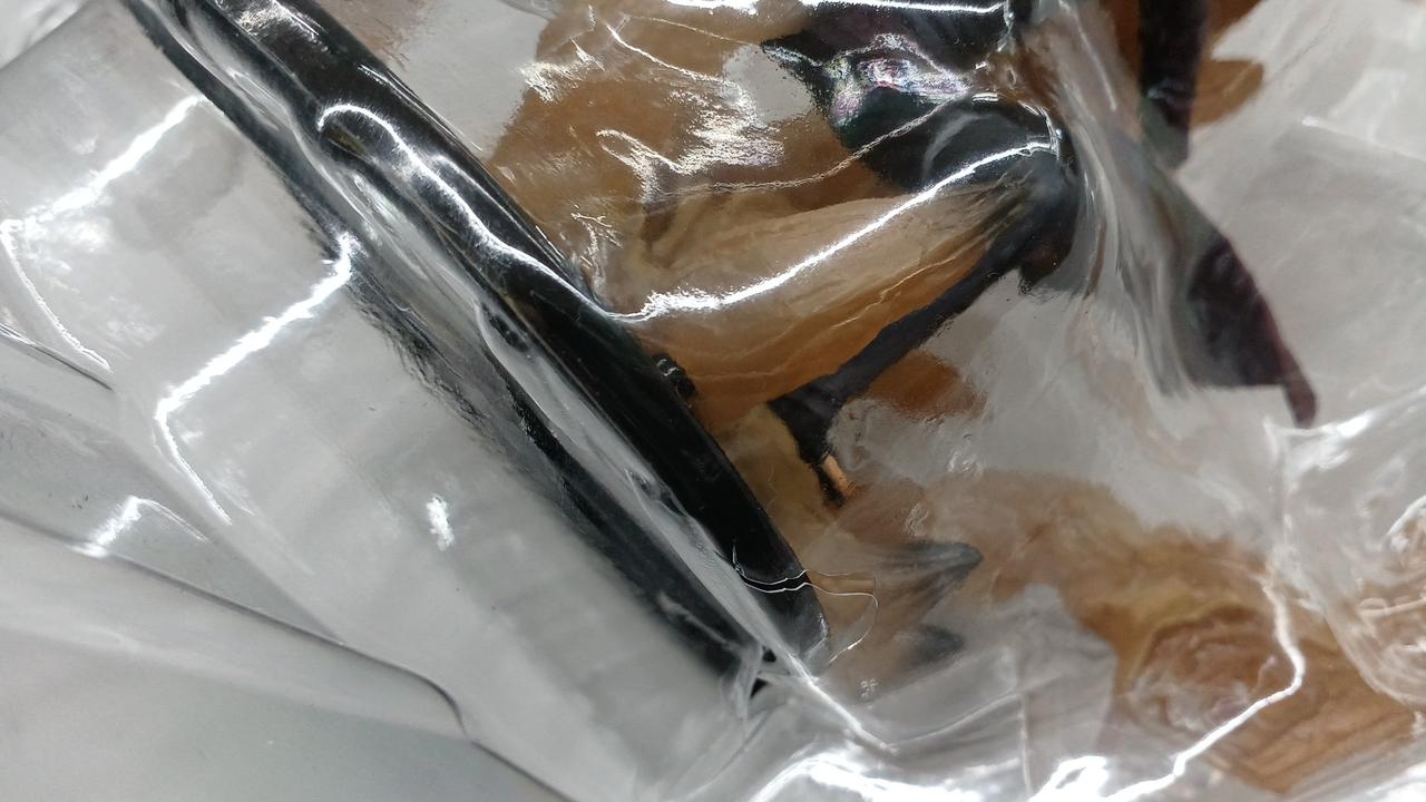 ブリスター傷みあり