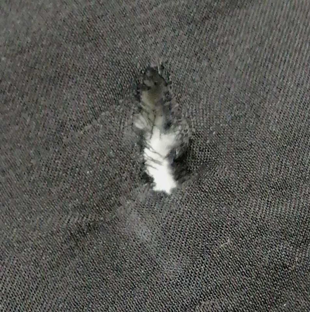 穴あきその2