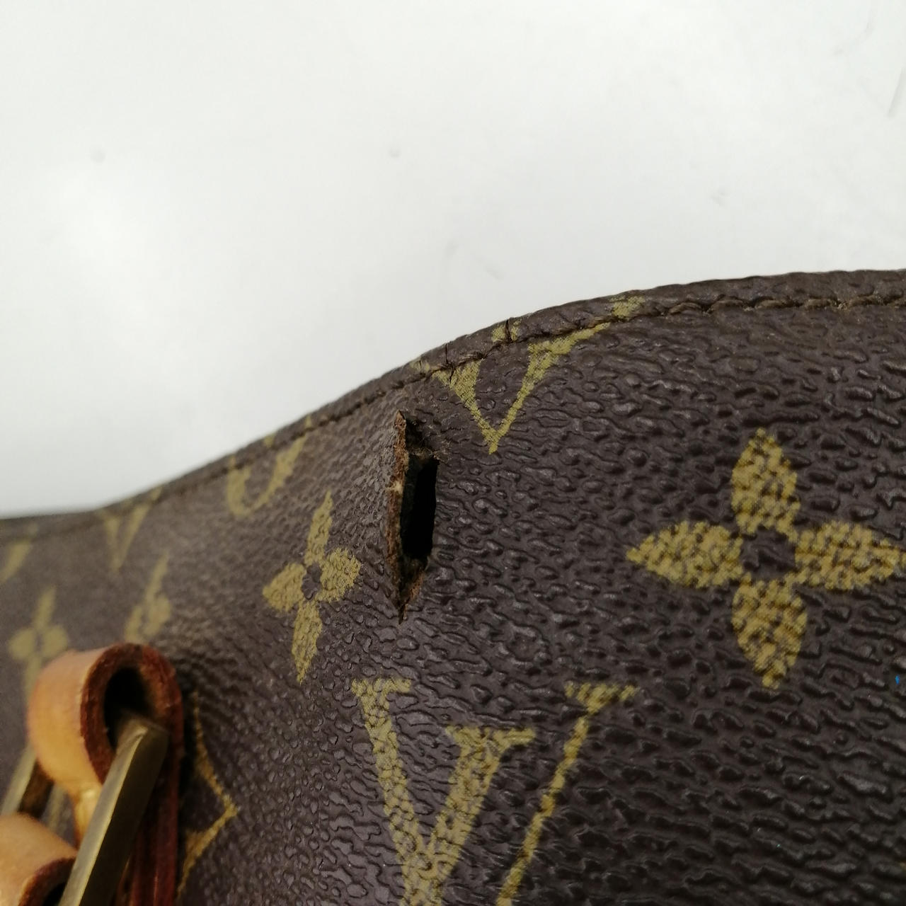 大きい破れあります