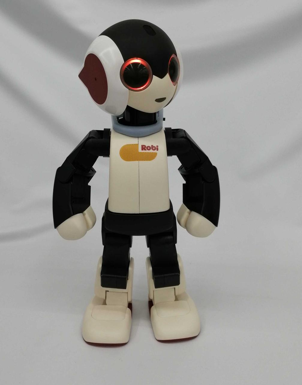 こんにちはと挨拶できます。