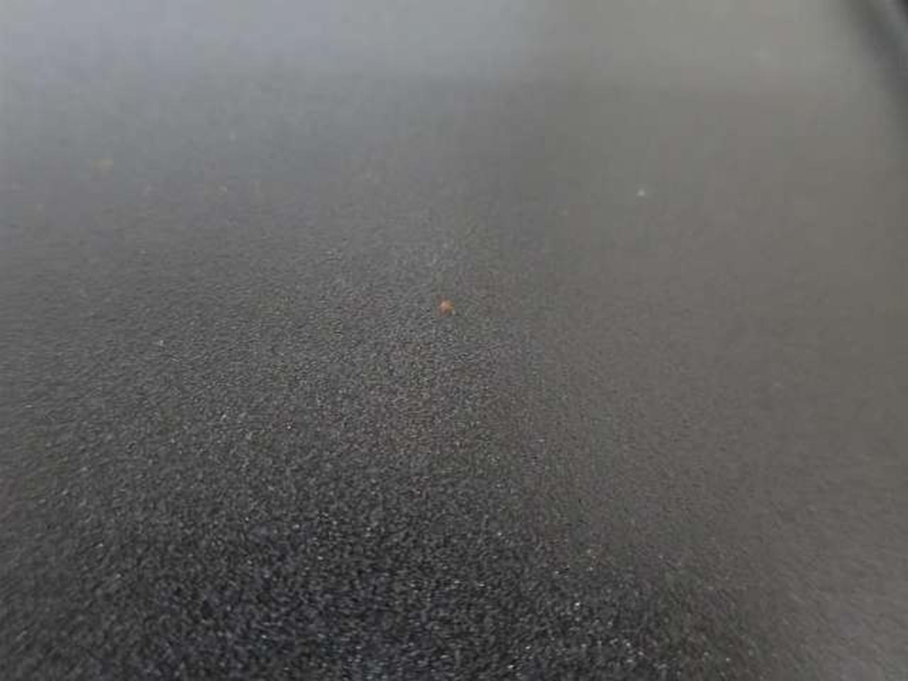 裏面に小傷あります。