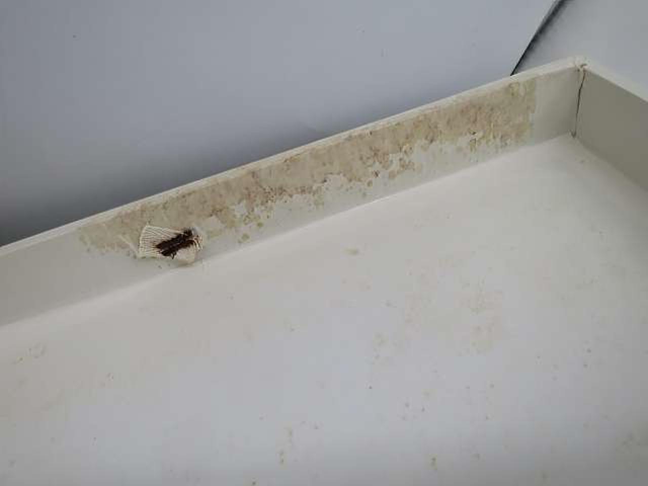 箱内部にシミあります。