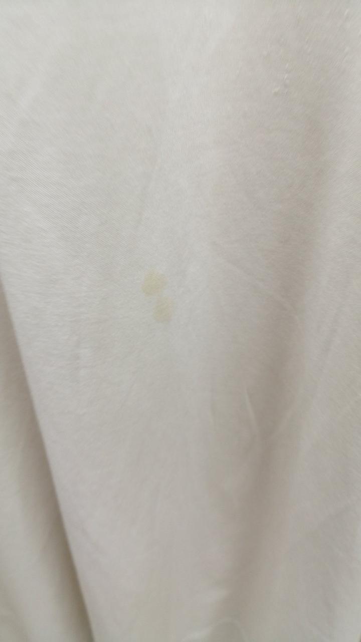 背面にシミあり