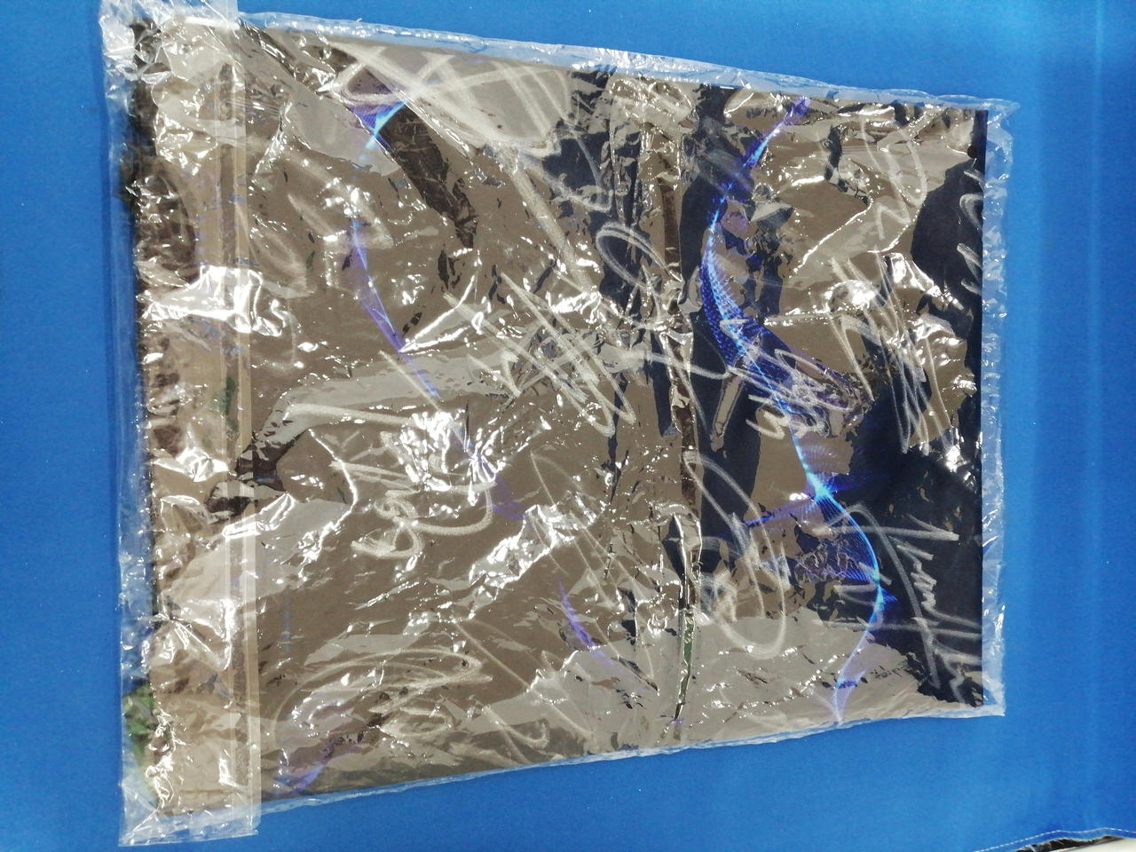 全員のサインが入ってます。