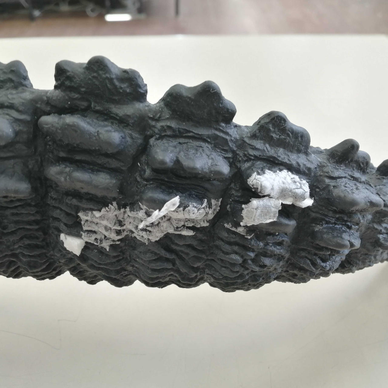 尻尾に発泡スチロール付着しています。