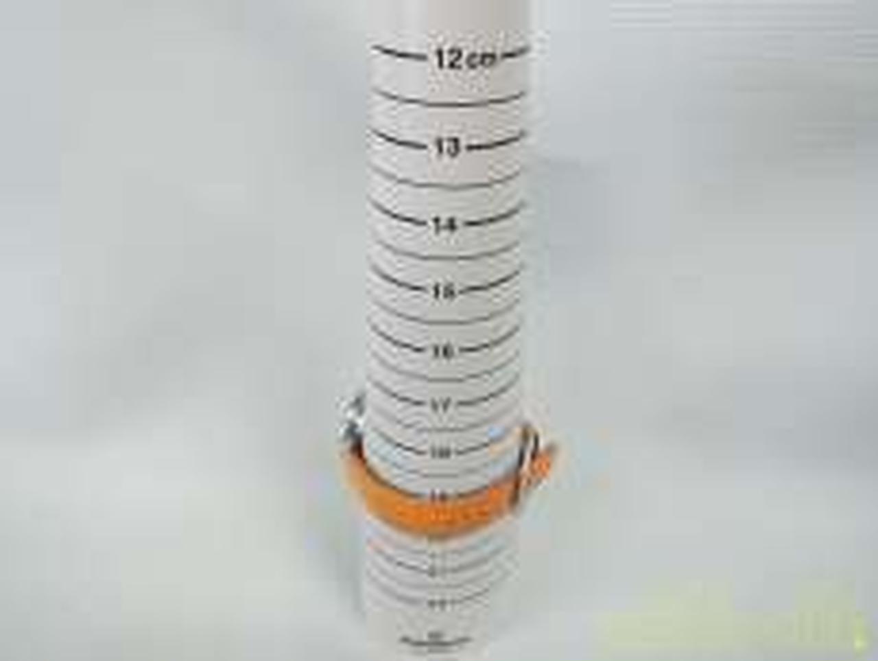 最大約19.5cmです。