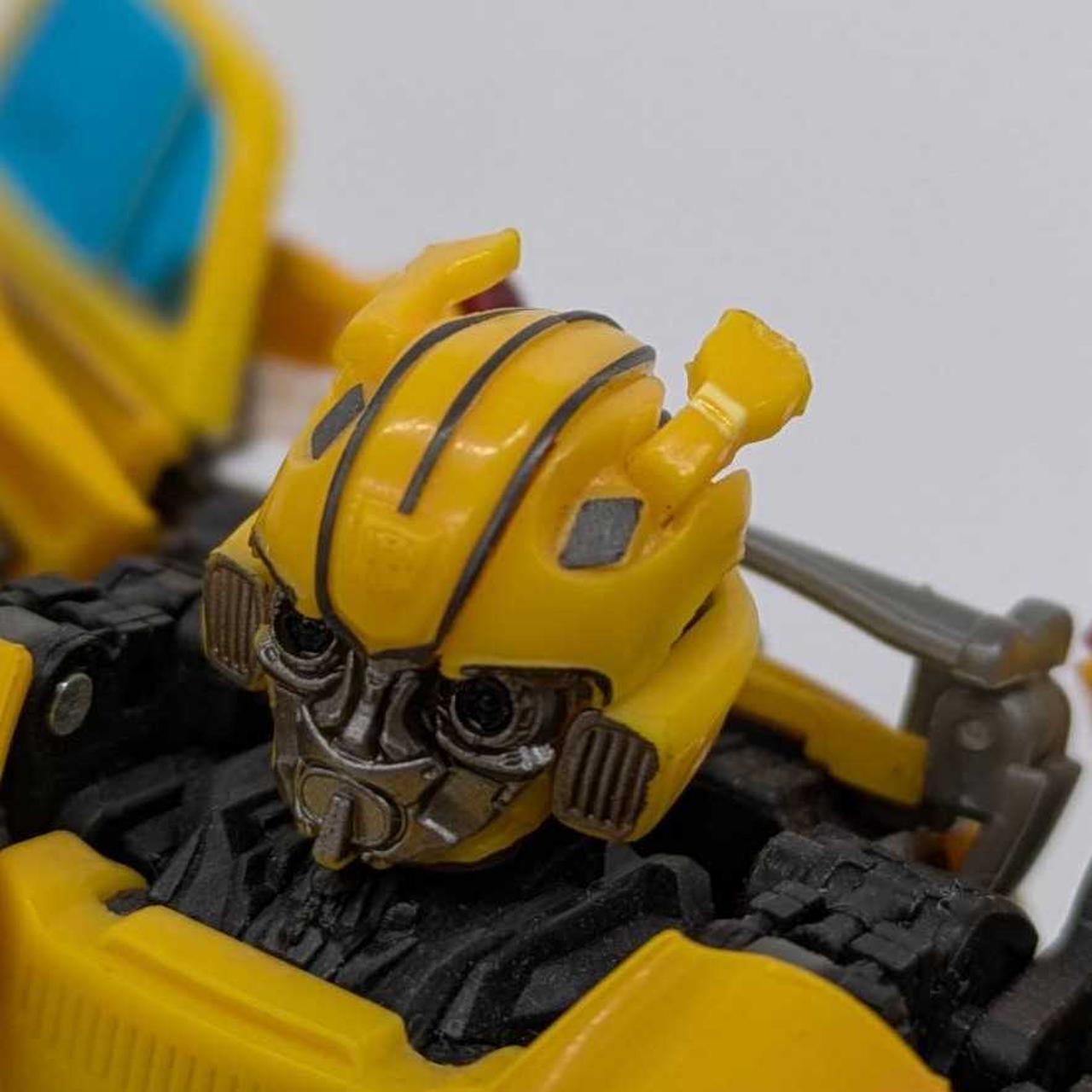 アンテナ白化あり