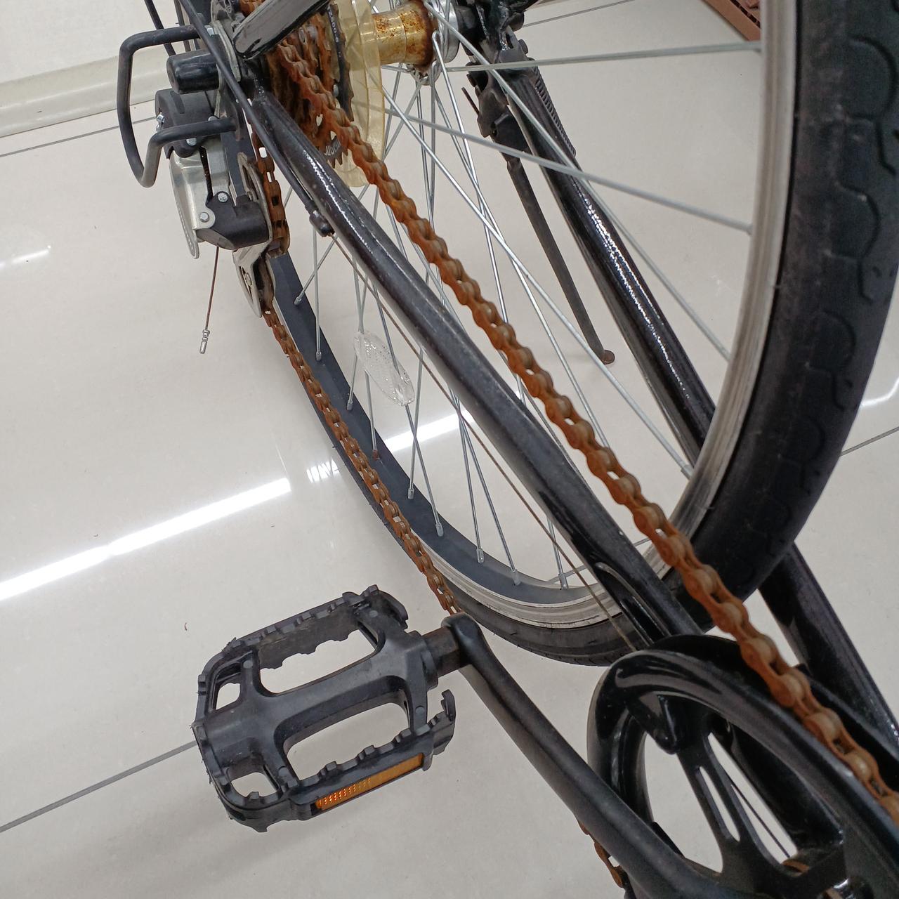 サビが目立ちます