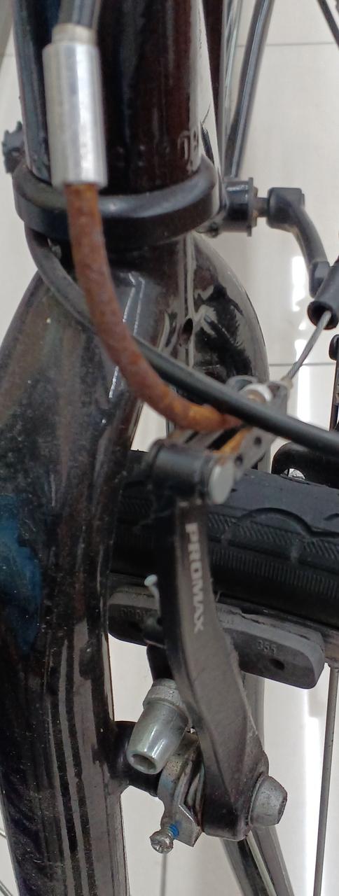 サビが目立ちます