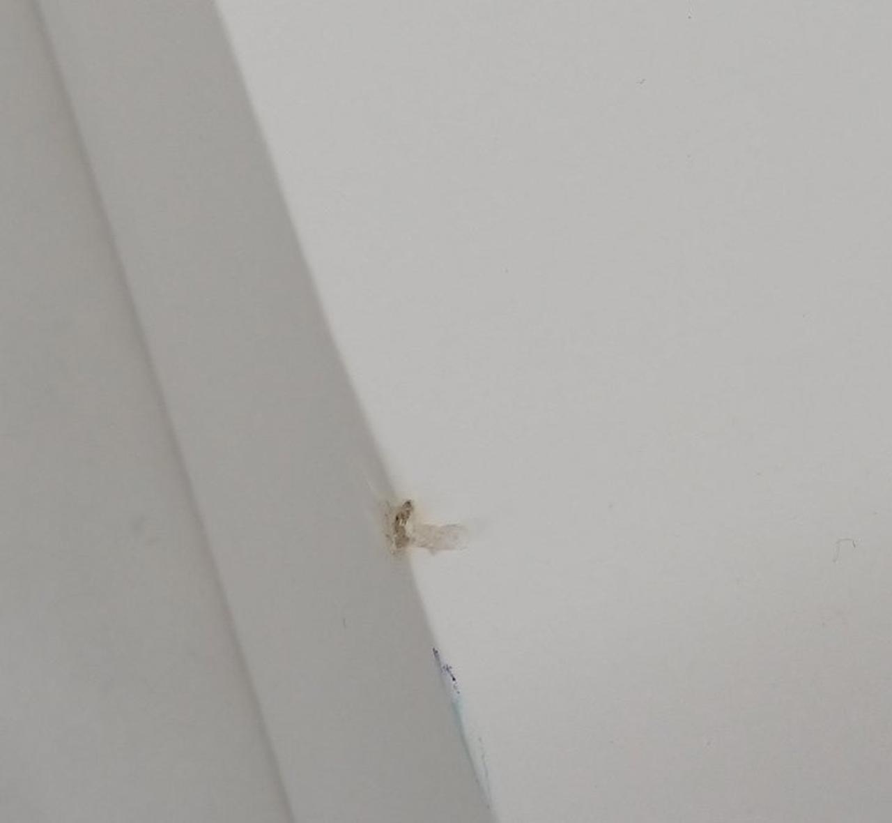 箱に傷あります