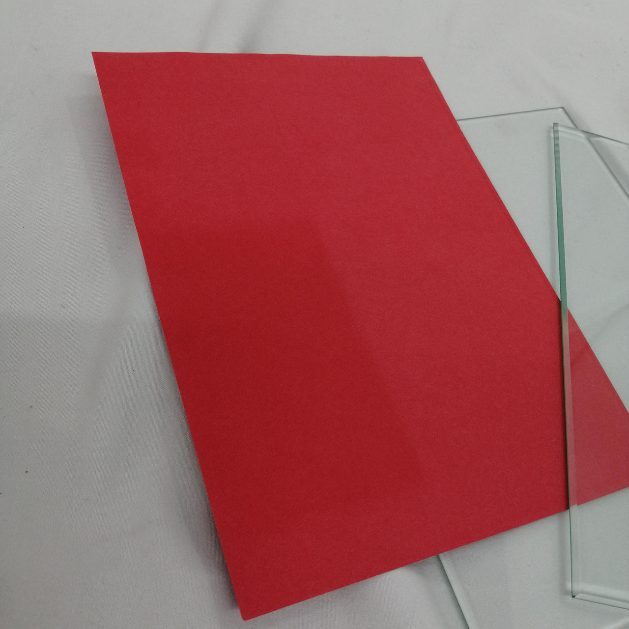 色褪せ痕が見受けられます。