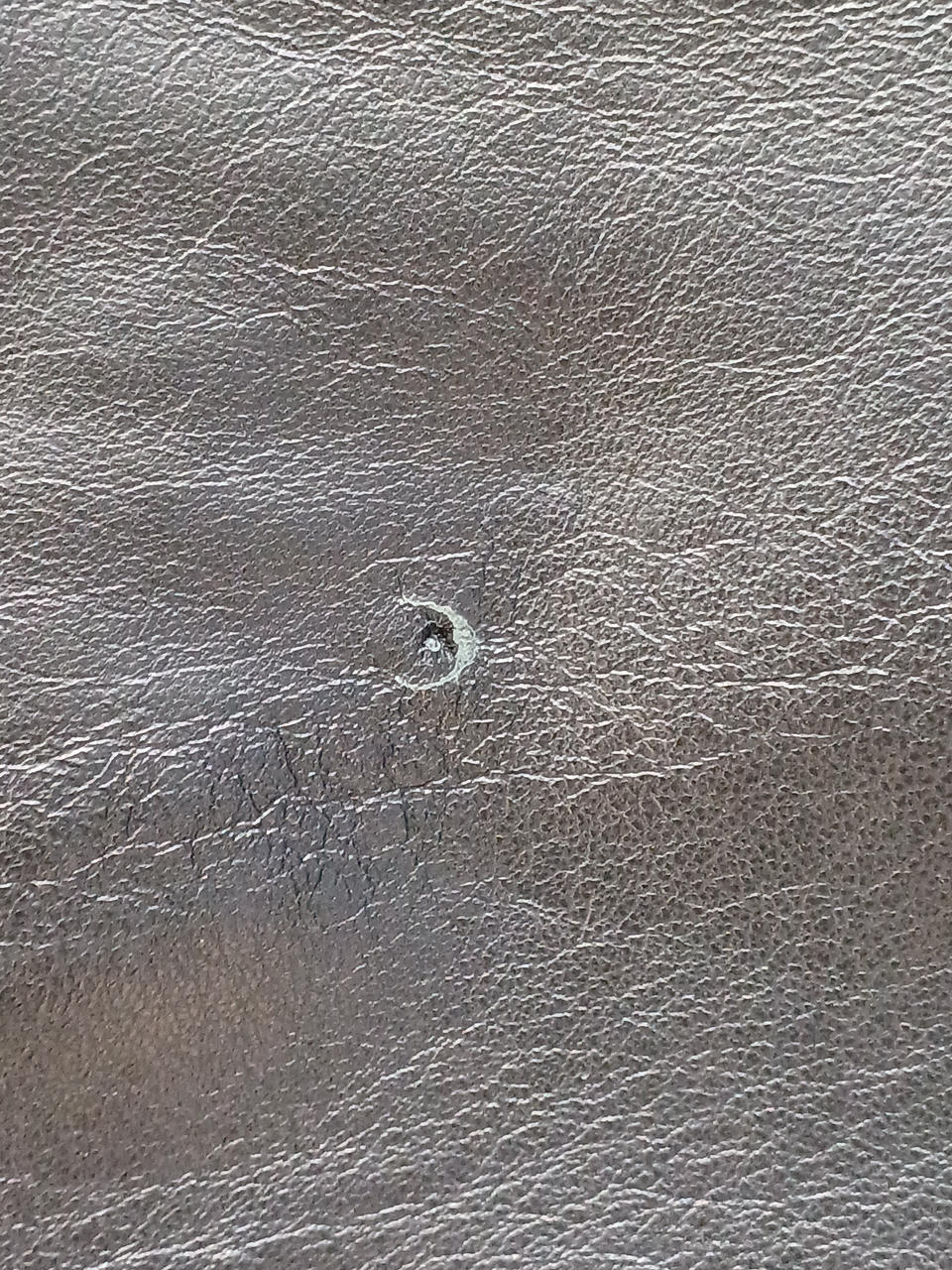 背面に傷みあり。