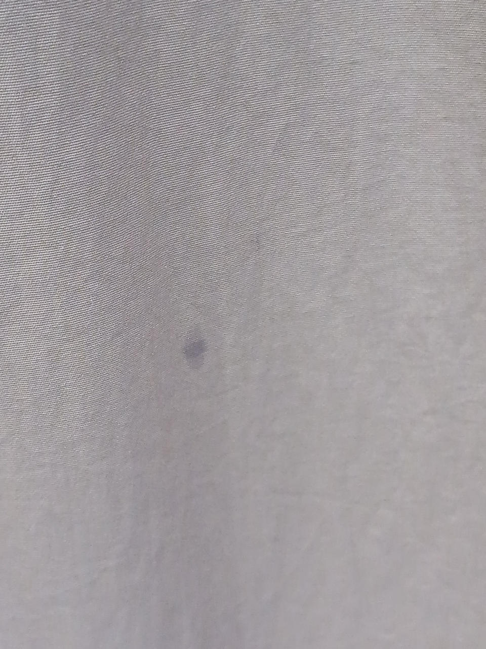 背中側にシミあり。