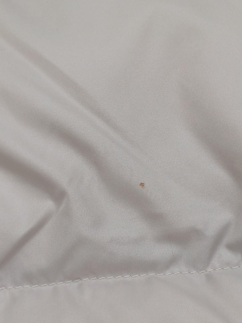 背中側にシミあり。