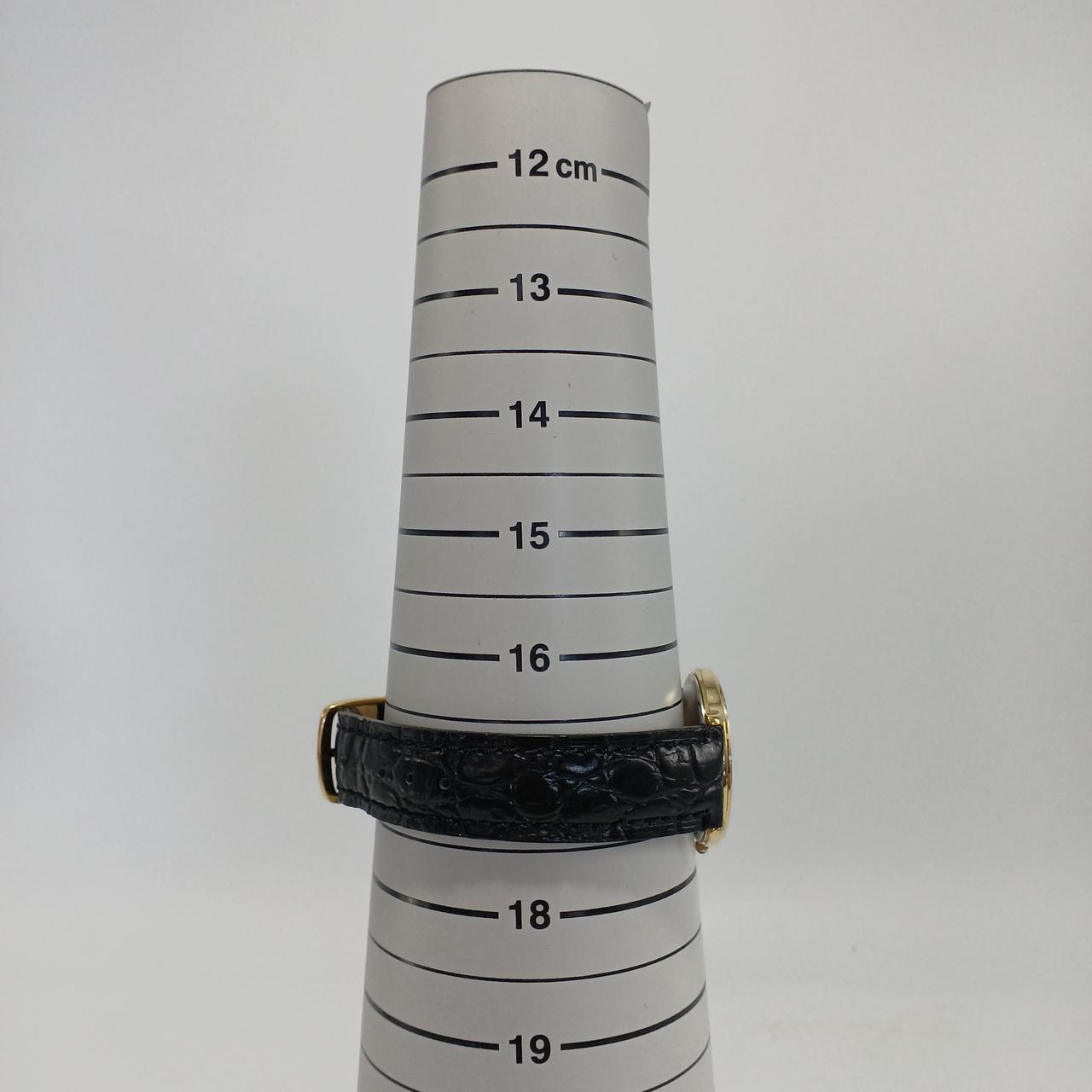 最大腕周り約17cm