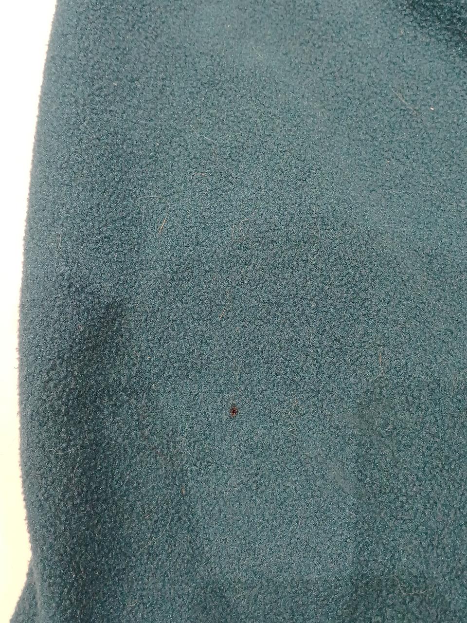 小さい穴が空いてます