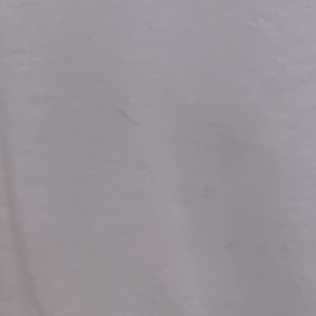 背面中部汚れあり
