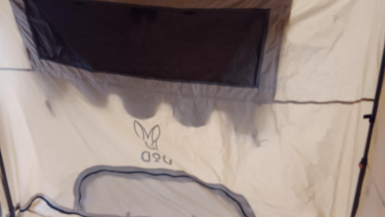 裏方も綺麗です