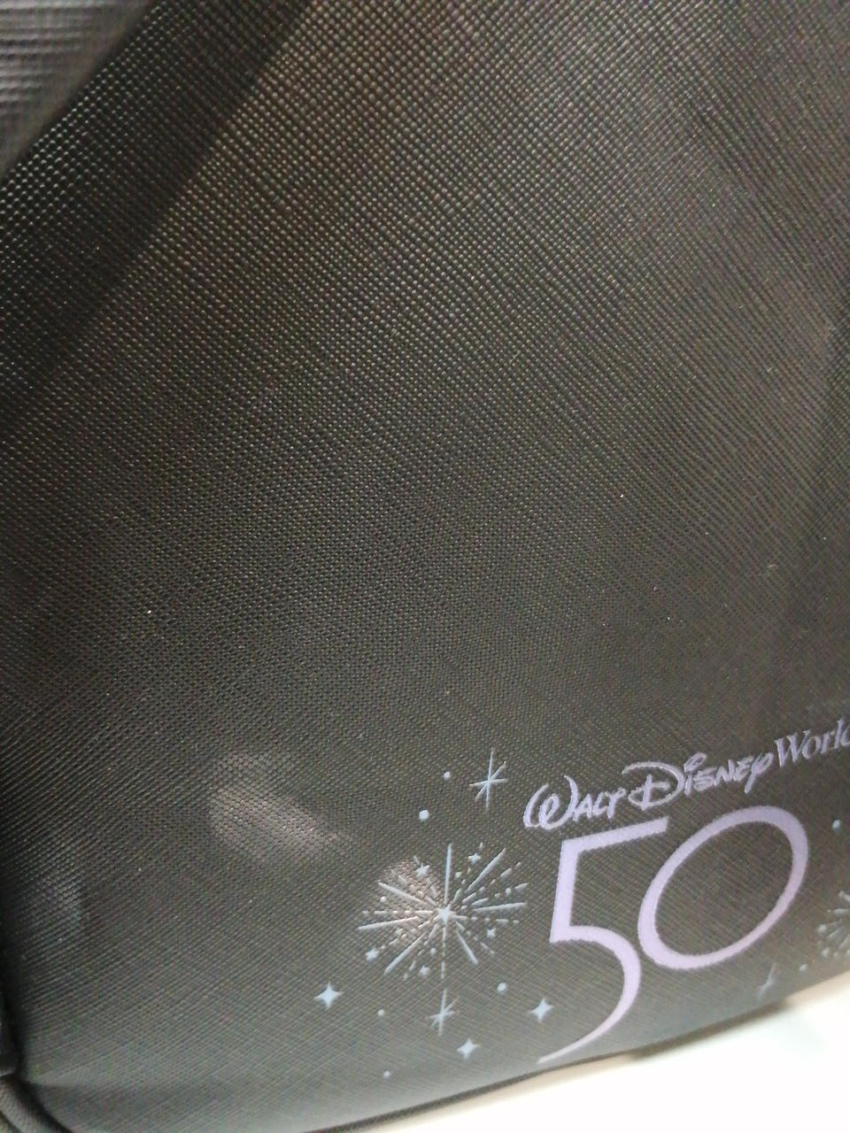 【入手困難未開封】シュリンク付き　15周年ディズニーワールド Walt Disney World BLANKET WITH POUCH BOOK│宝島社の通販 宝島
