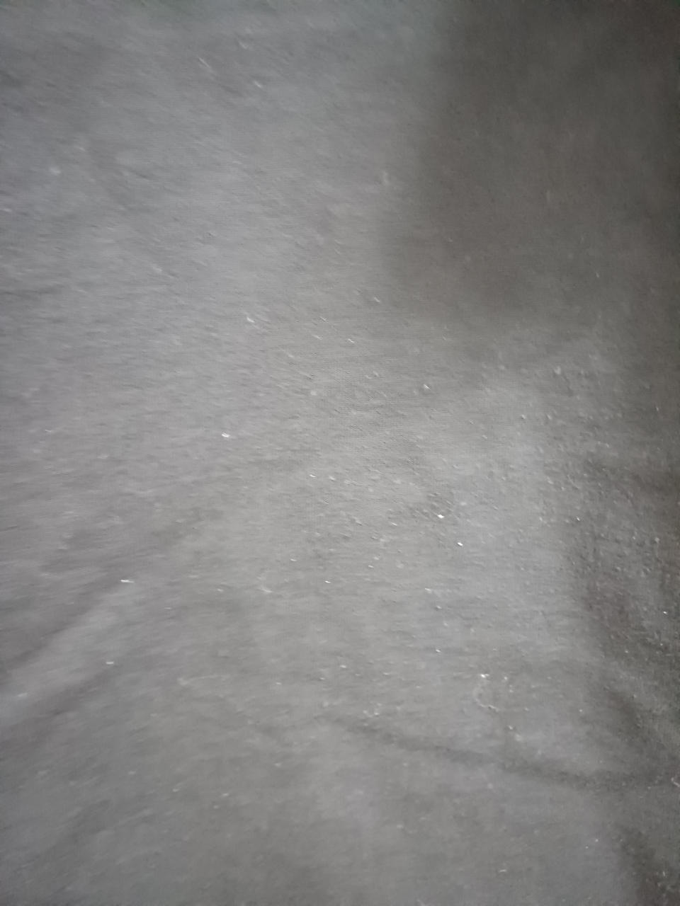 背面毛玉