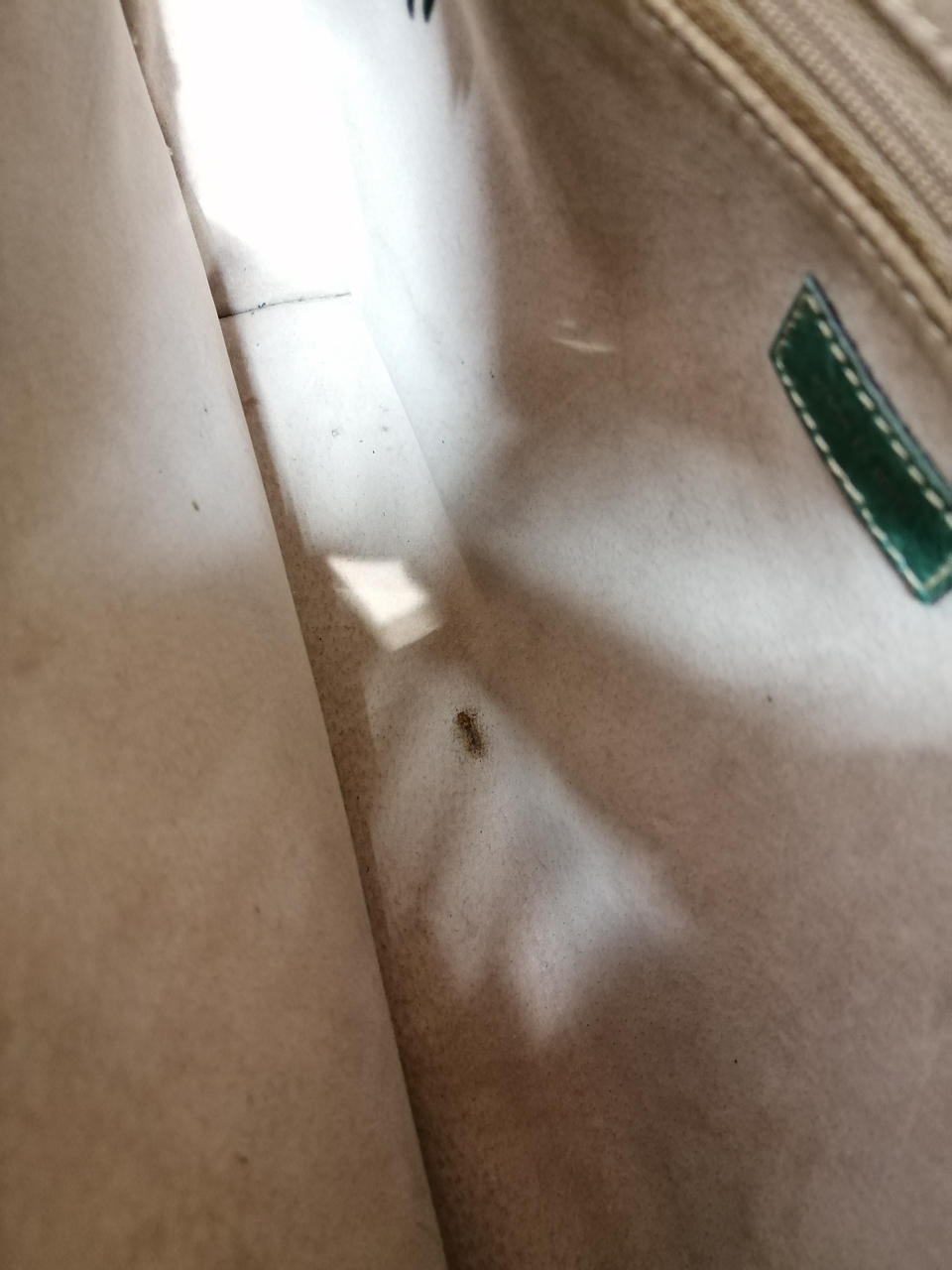 内側汚れ有り