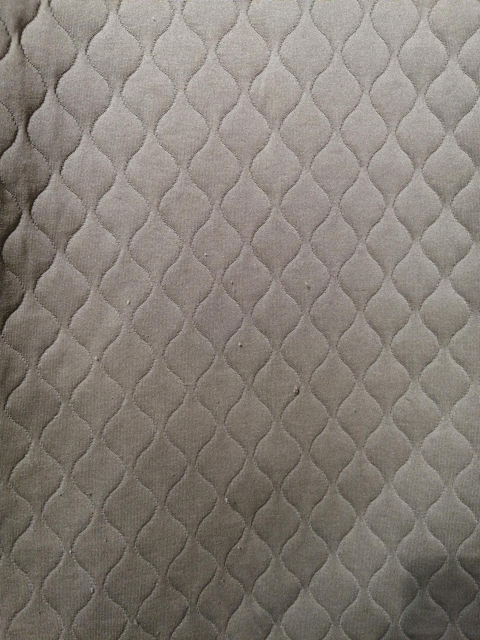 毛玉有