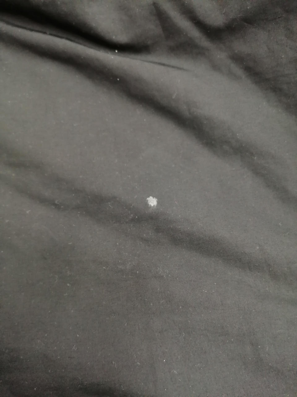 背面に汚れあり