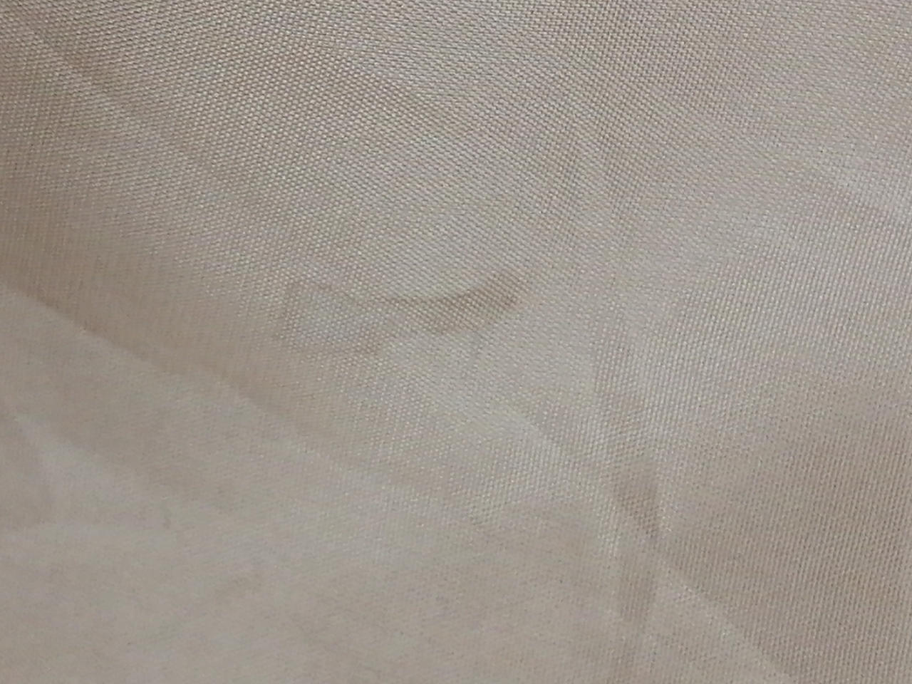 内側シミ有り