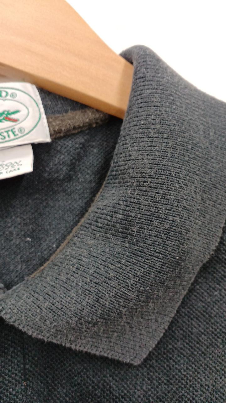 襟毛羽立ち、色褪せ