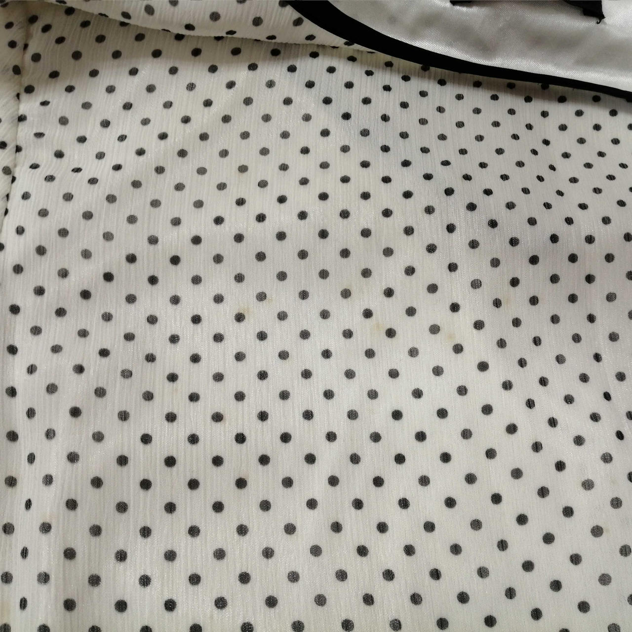 背中、シミ有り