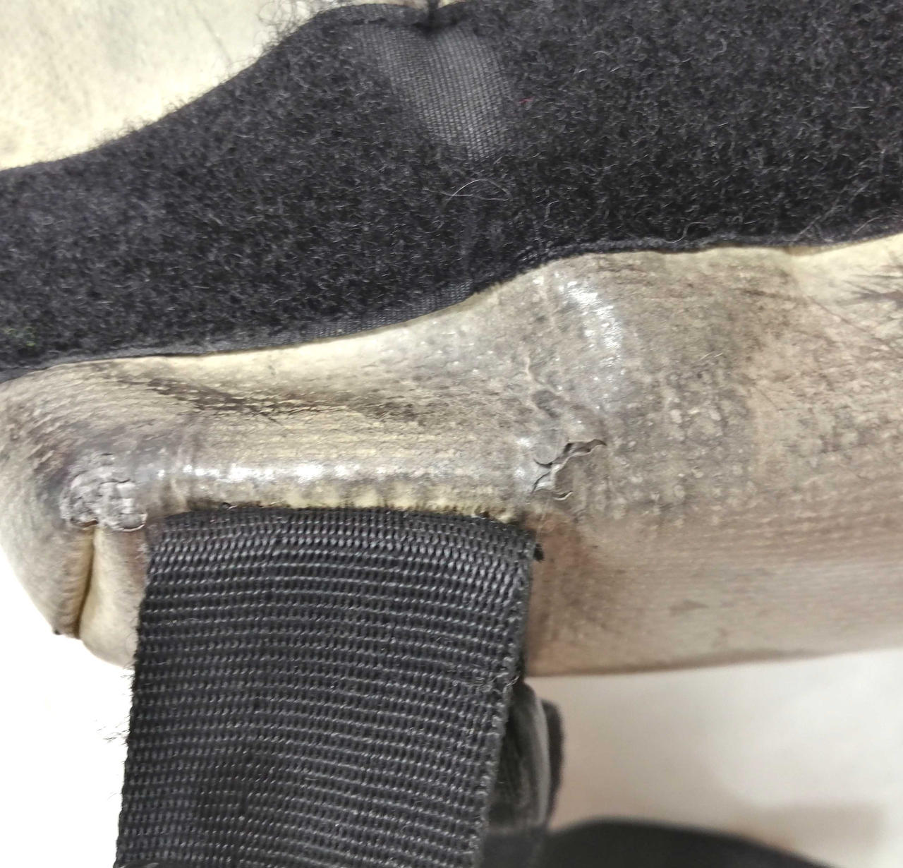 FREITAG|FREITAG メッセンジャーバッグ|【ハードオフ公式通販】オフ