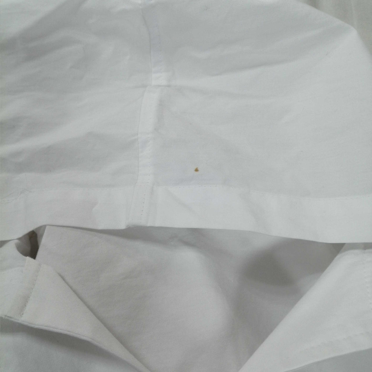 フードシミ有り