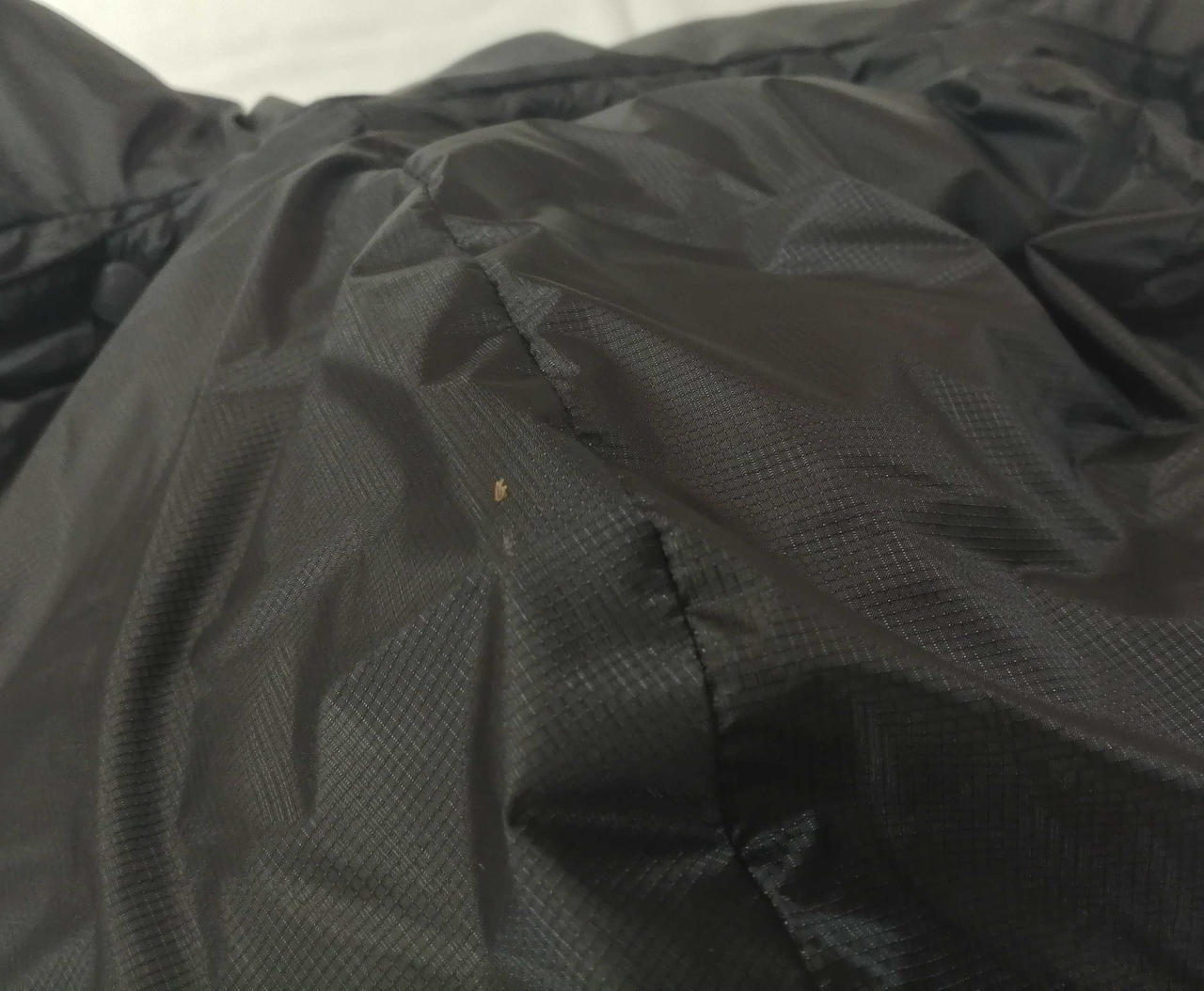 フード汚れ有り