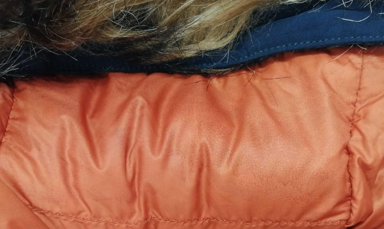 フード汚れ有り