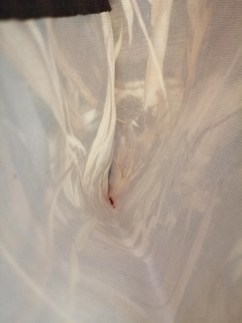 内側ポケット汚れ有り