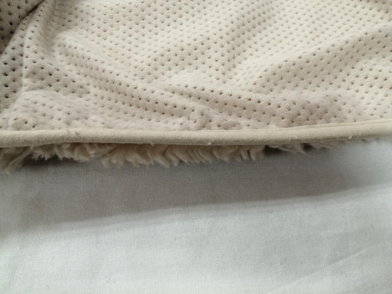 毛玉有り