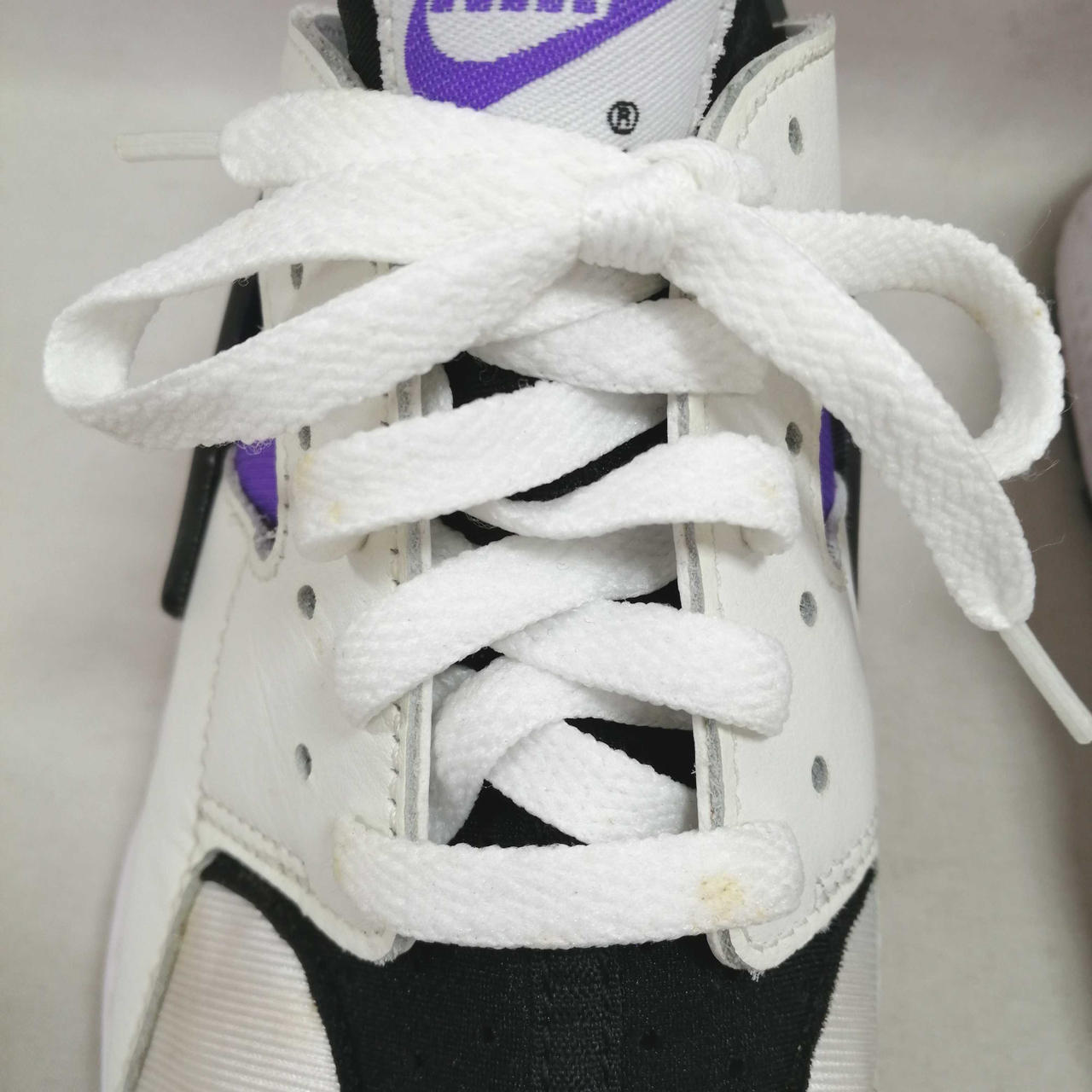 シューレースシミ多数有