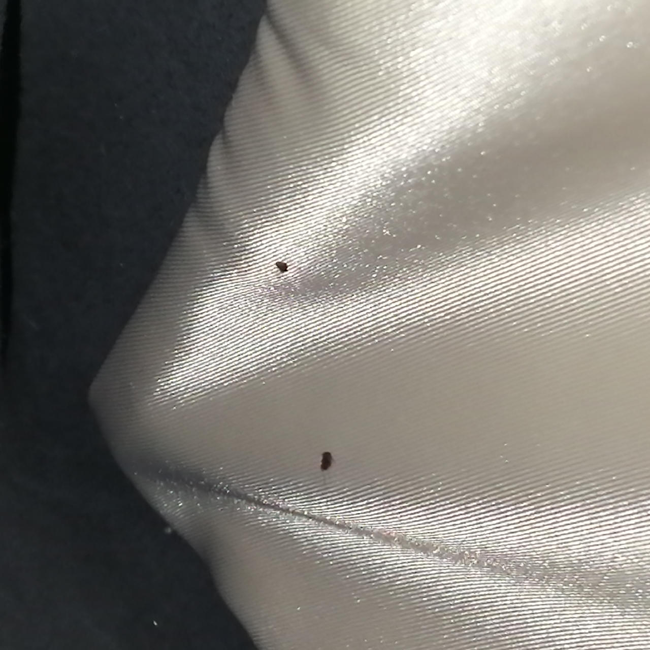 内側汚れ有
