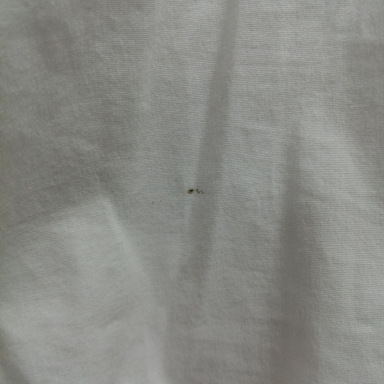 右腹部お汚れあり