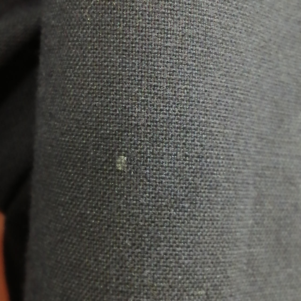 フロント向かって左脇に小さな汚れ